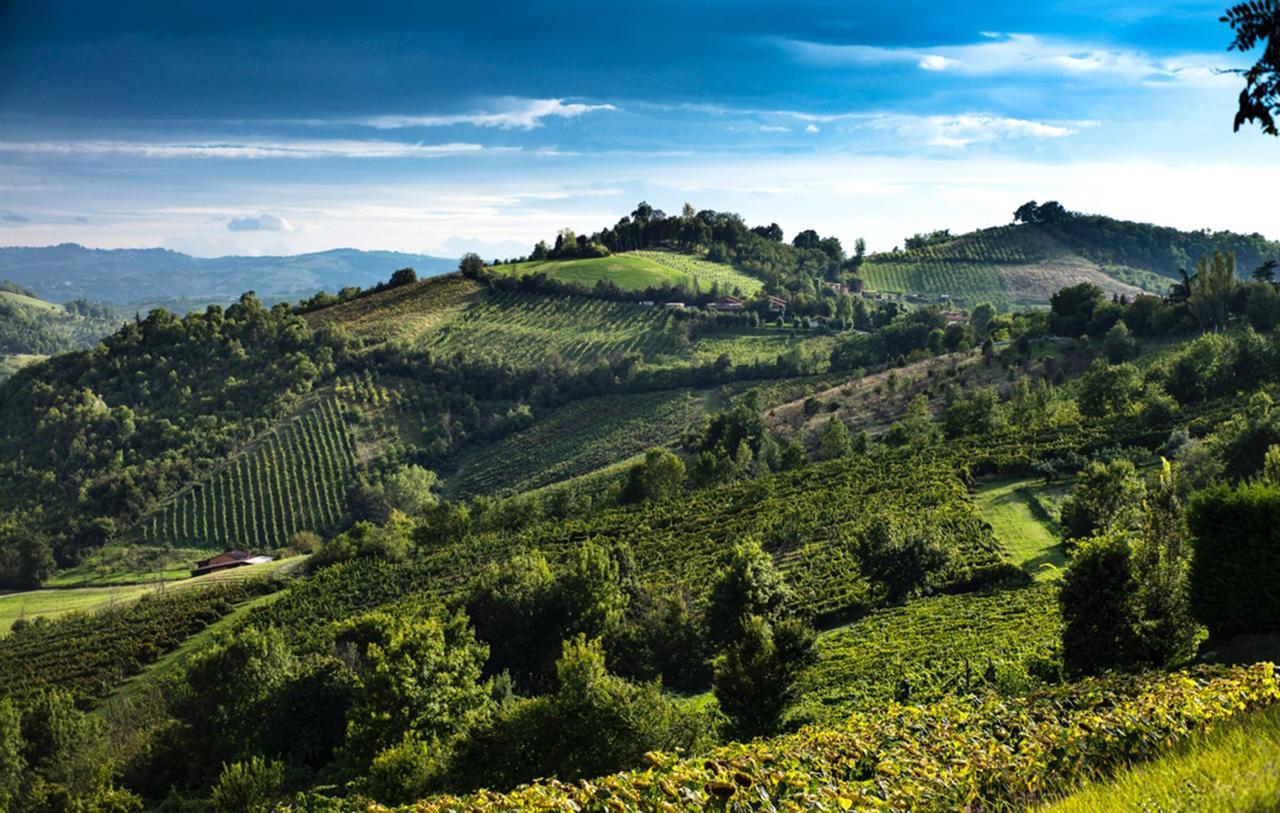 Locanda Gli Ulivi Monteveglio Eksteriør bilde